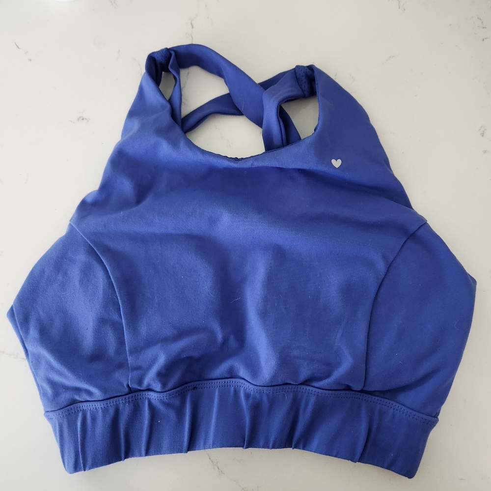 Love Fitness Apparel EUC Women's Blue Sports Bra